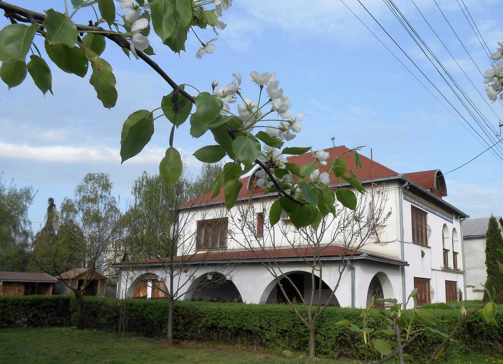 Guest House Marketti Vynohradiv Exterior photo