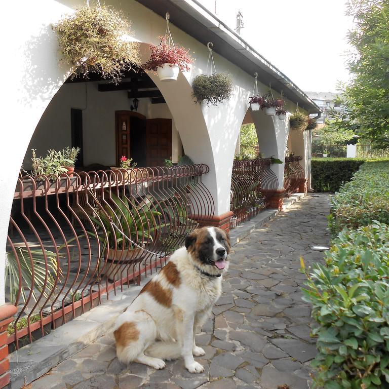 Guest House Marketti Vynohradiv Exterior photo